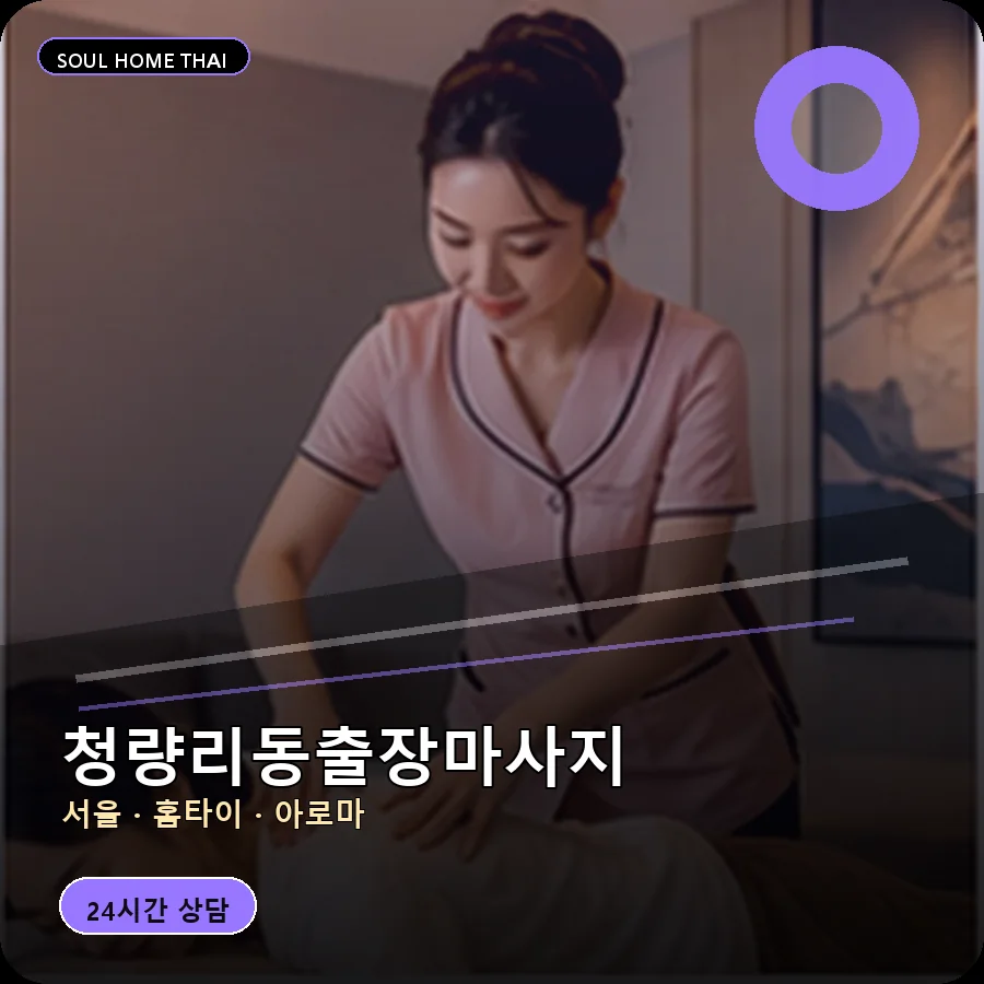 서울 동대문구 청량리동출장마사지