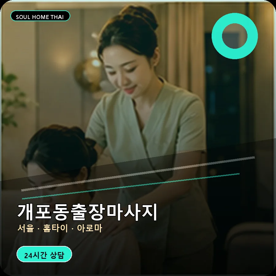 서울 강남구 개포동출장마사지