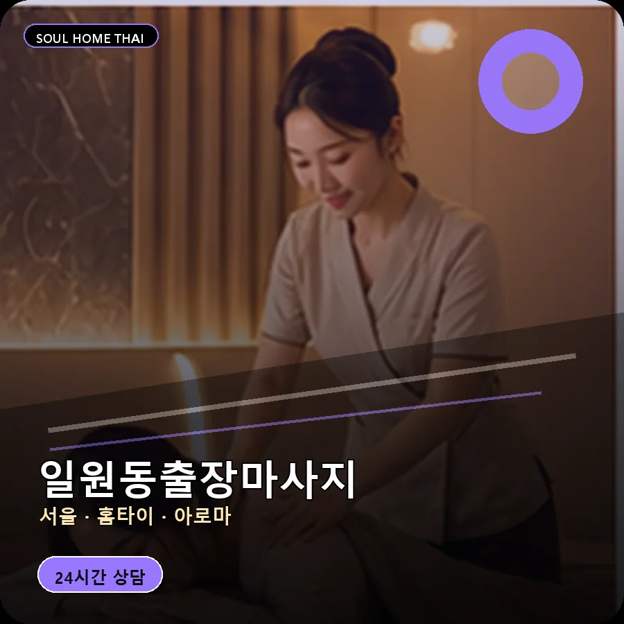 서울 강남구 일원동출장마사지
