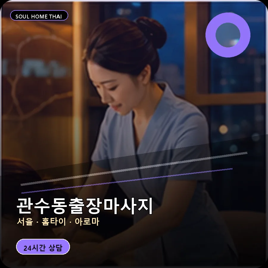 서울 종로구 관수동출장마사지