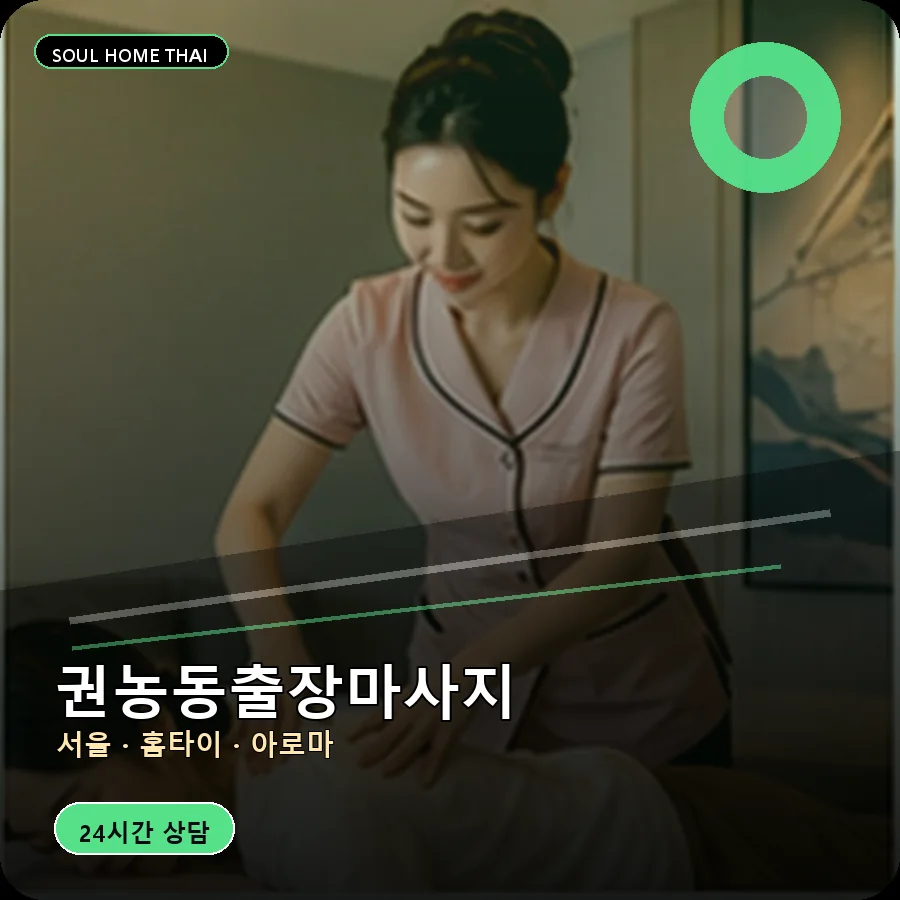 서울 종로구 권농동출장마사지
