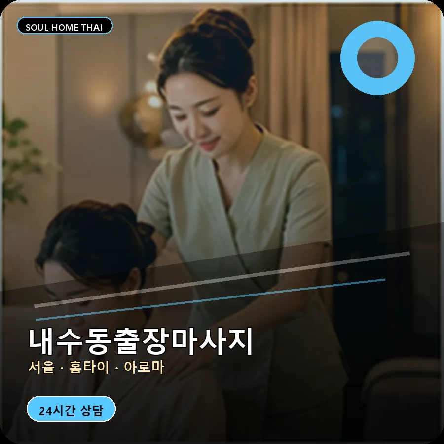 서울 종로구 내수동출장마사지