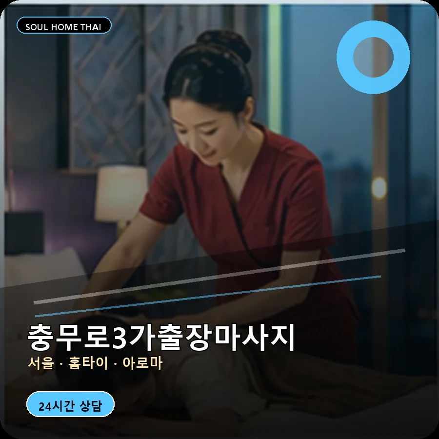 서울 중구 충무로3가출장마사지