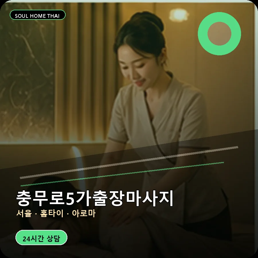 서울 중구 충무로5가출장마사지
