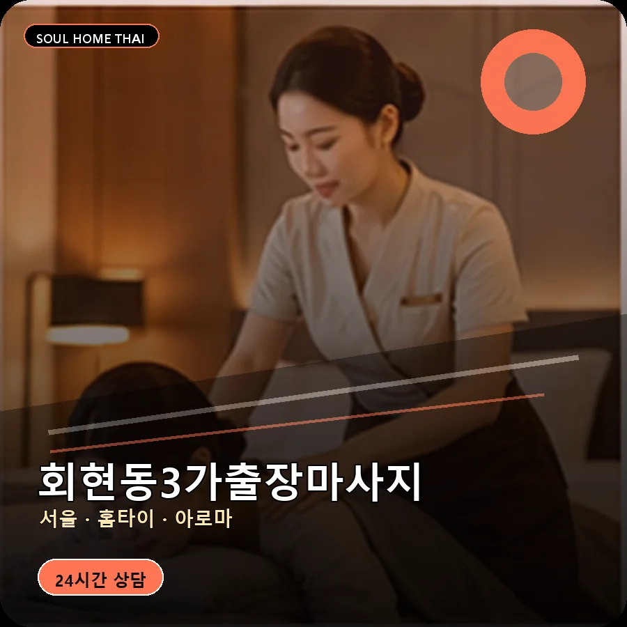 서울 중구 회현동3가출장마사지