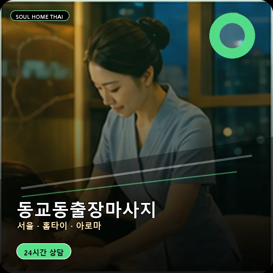 서울 마포구 동교동출장마사지
