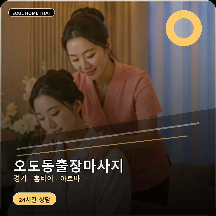 경기 파주시 오도동출장마사지