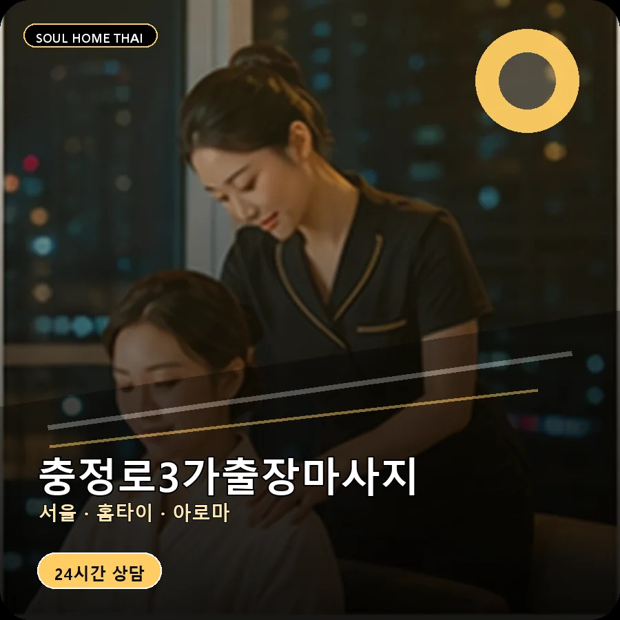 서울 서대문구 충정로3가출장마사지