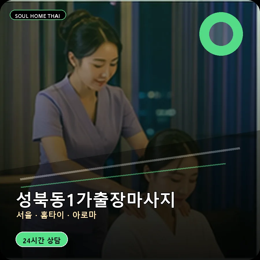 서울 성북구 성북동1가출장마사지