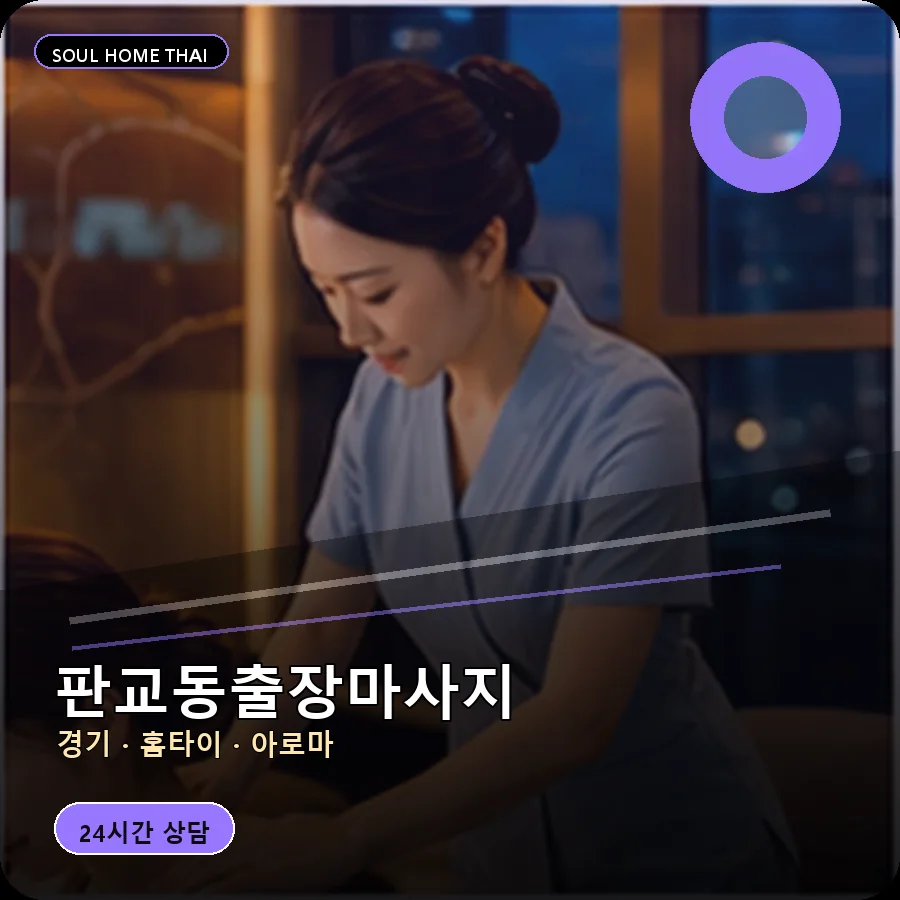 경기 성남시 판교동출장마사지