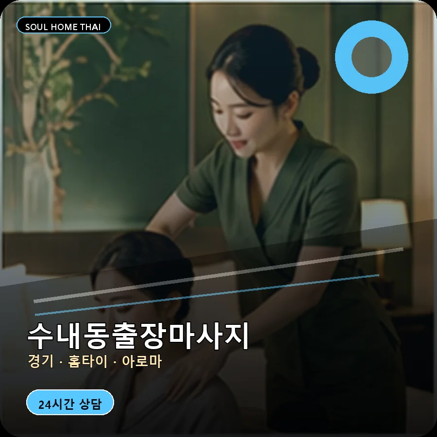 경기 성남시 수내동출장마사지