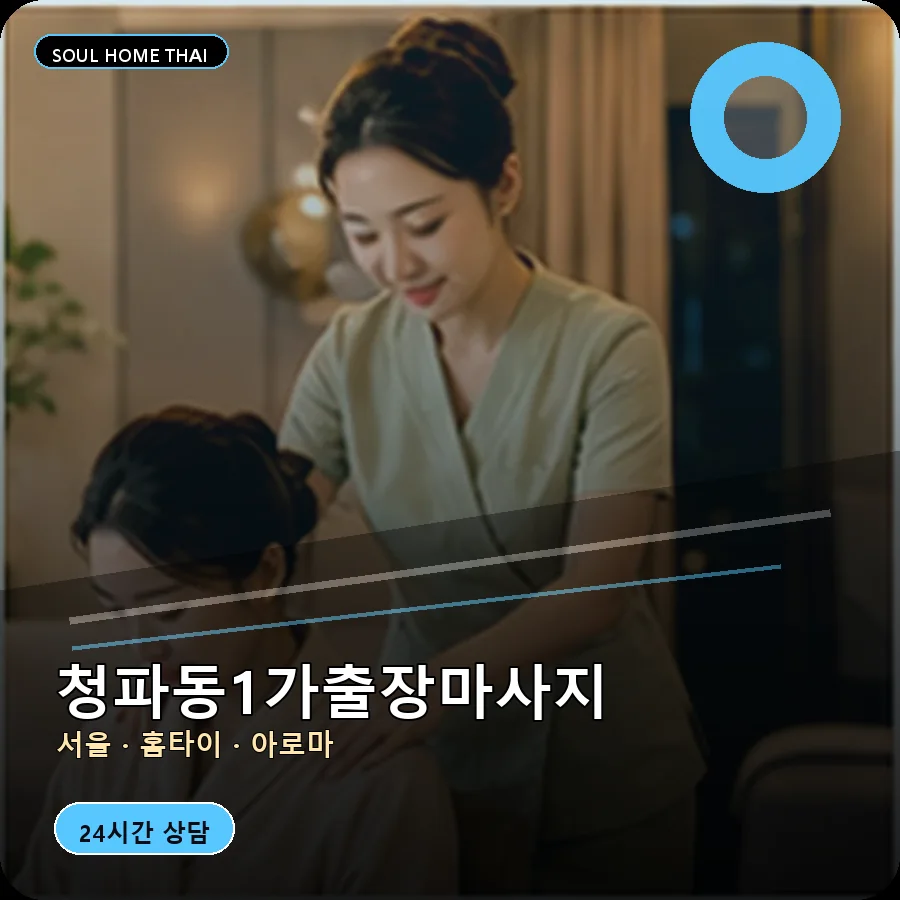 서울 용산구 청파동1가출장마사지