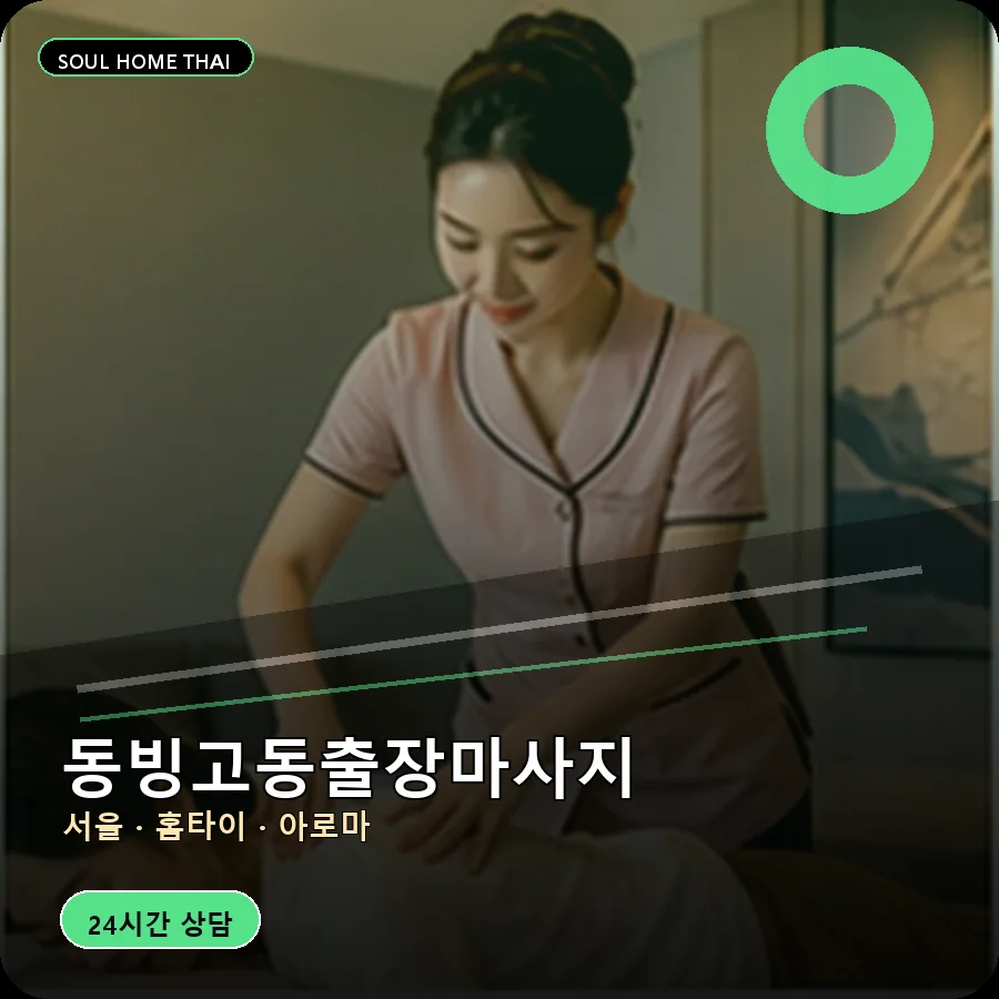 서울 용산구 동빙고동출장마사지