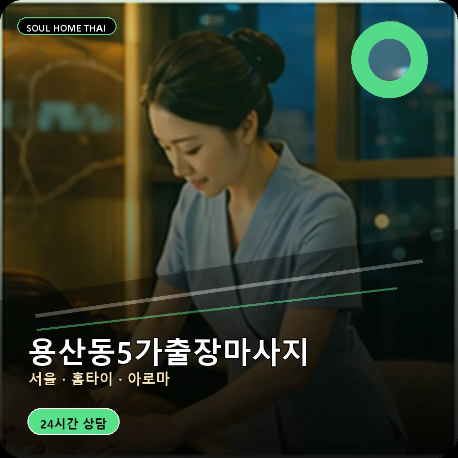 서울 용산구 용산동5가출장마사지