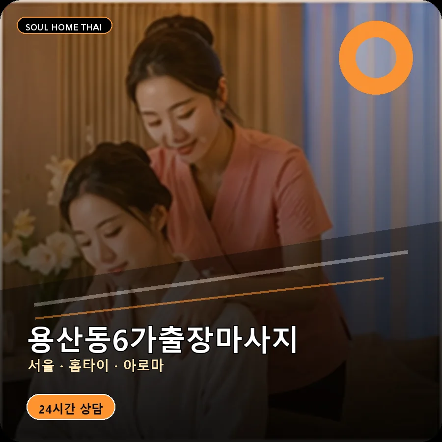 서울 용산구 용산동6가출장마사지